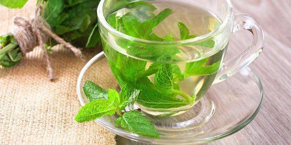 تصویر 4 از خرید و قیمت عرق نعنا صادراتی + فروش صادراتی